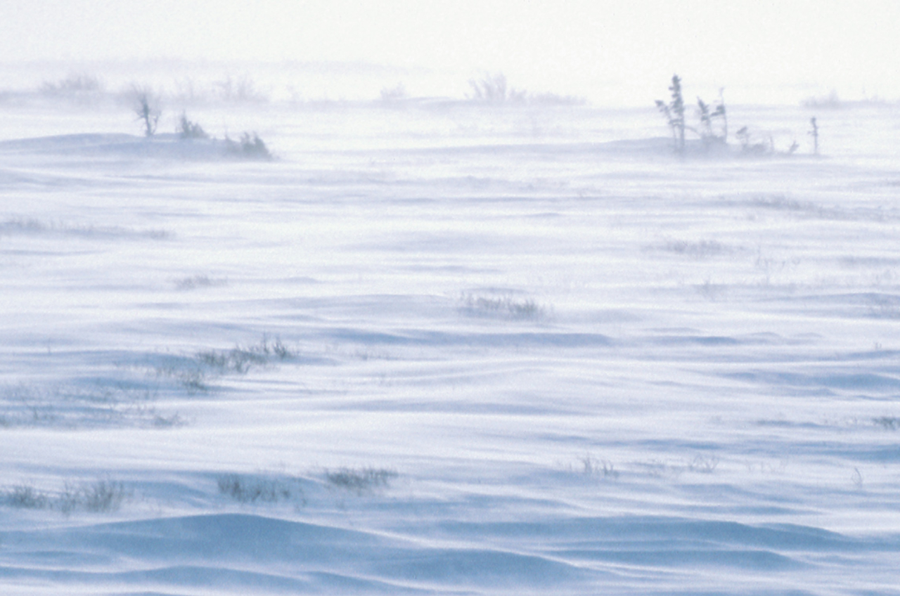 Cross country skier spotted on Route 63