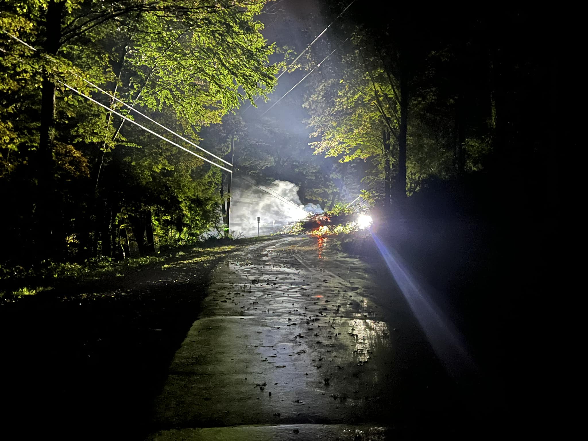 High Winds Bring Down Trees And Wires Thursday - Franklin County Now