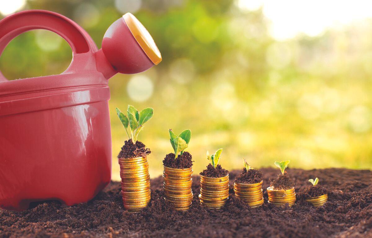 Financial Fitness with the Money Doctor