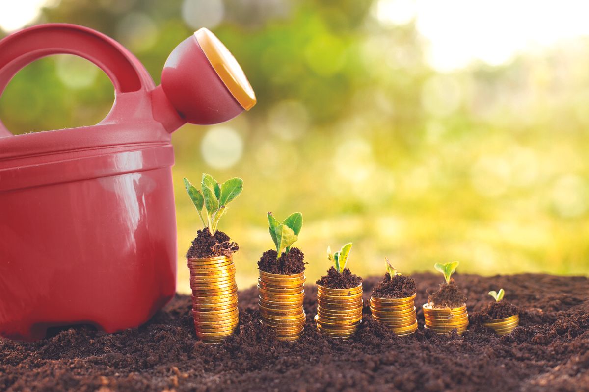 Financial Fitness with the Money Doctor