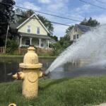 Yellow fire hydrant in a grassy verge spraying a large arc of water across a suburban street with houses in the background under a blue sky.
