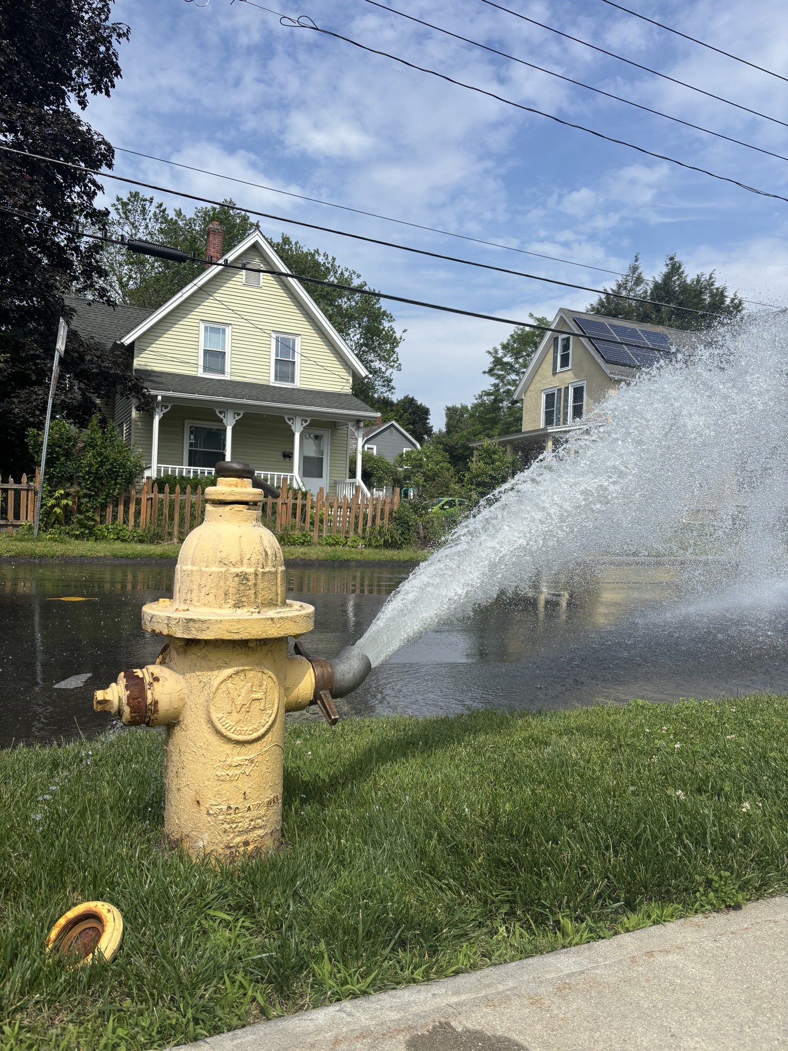 Yellow fire hydrant in a grassy verge spraying a large arc of water across a suburban street with houses in the background under a blue sky.