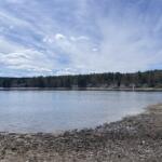 Child walking along a rocky lakeshore toward a calm lake with houses and trees in the distance under a blue sky.