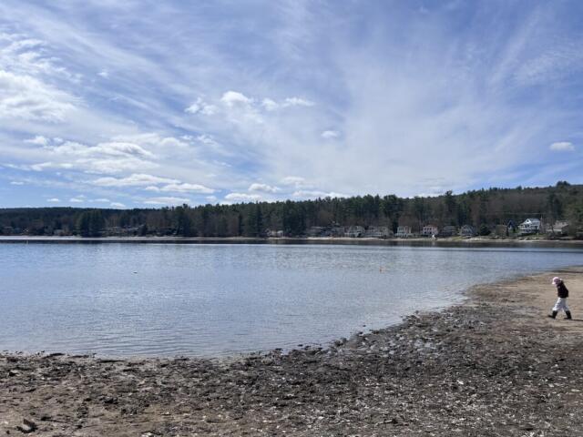 Child walking along a rocky lakeshore toward a calm lake with houses and trees in the distance under a blue sky.