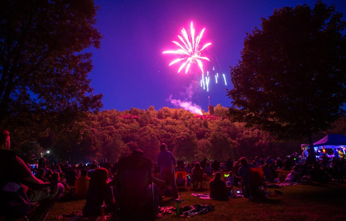 Crowd sitting on the grassy park at night, watching pink fireworks above the treeline.