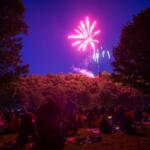 Crowd sitting on the grassy park at night, watching pink fireworks above the treeline.