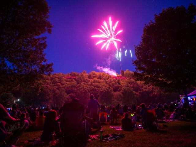 Crowd sitting on the grassy park at night, watching pink fireworks above the treeline.