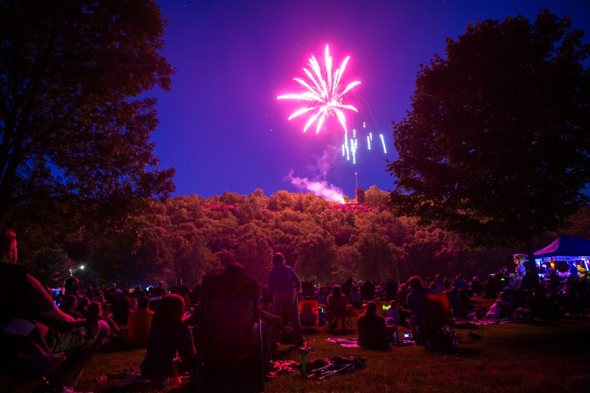 Crowd sitting on the grassy park at night, watching pink fireworks above the treeline.