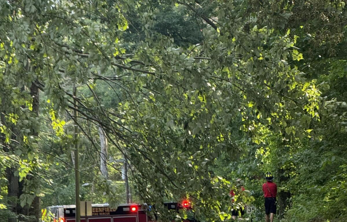 Tree limb blocks a two-lane road, with firefighters and a fire engine on scene nearby.