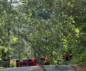 Tree limb blocks a two-lane road, with firefighters and a fire engine on scene nearby.