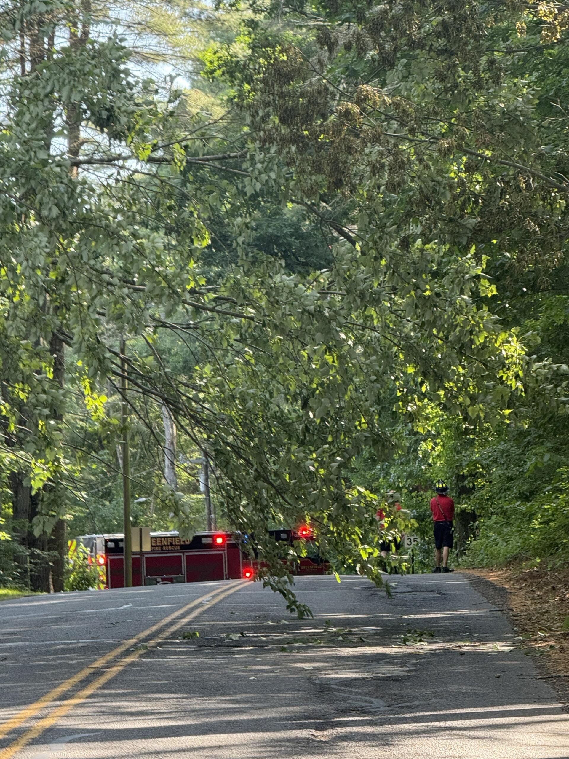 Tree limb blocks a two-lane road, with firefighters and a fire engine on scene nearby.